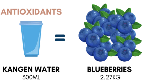 One 300ml cup of Kangen Water contains the same antioxidants as 2.27kg of blueberries